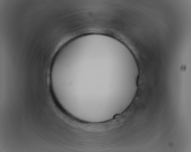 X0000094350011200711241925