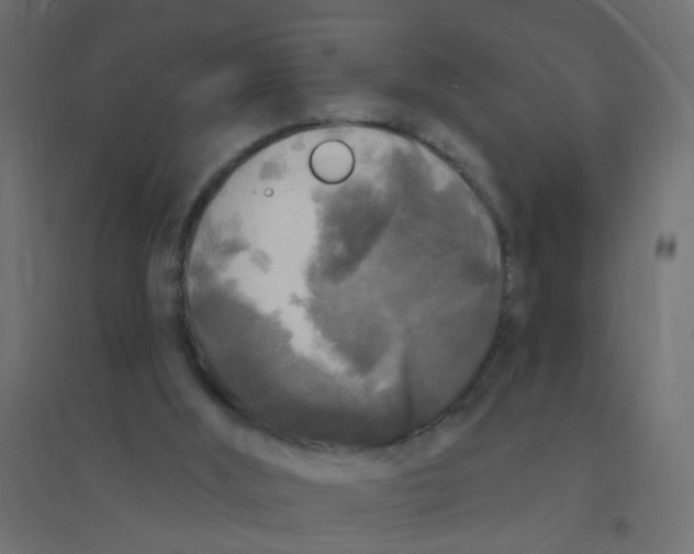 X0000094350012200711241925