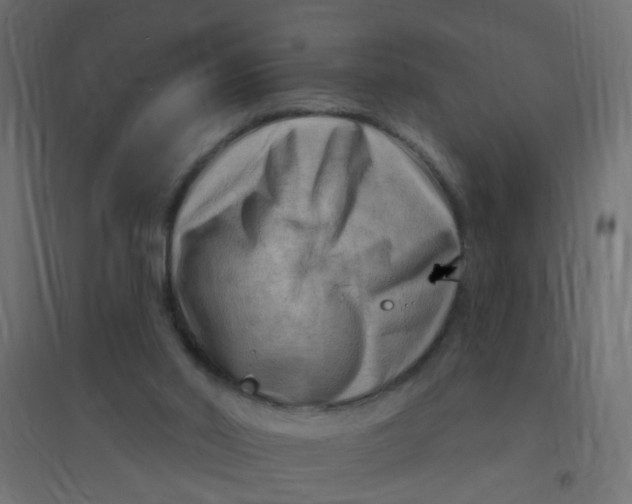 X0000094350014200711241925