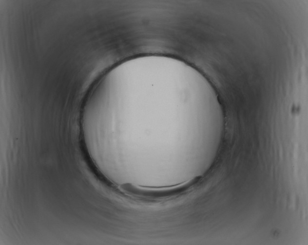 X0000094350015200711241925