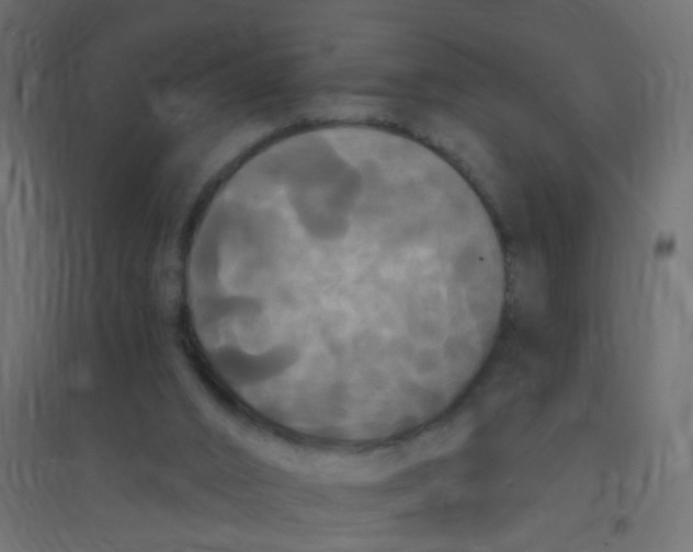 X0000094350016200711241925