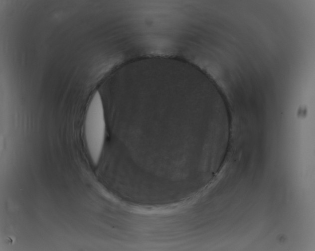 X0000094350017200711241925