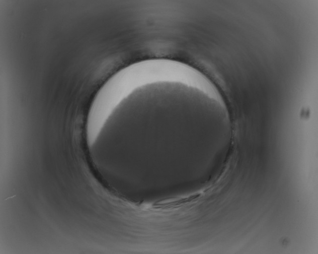 X0000094350018200711241925