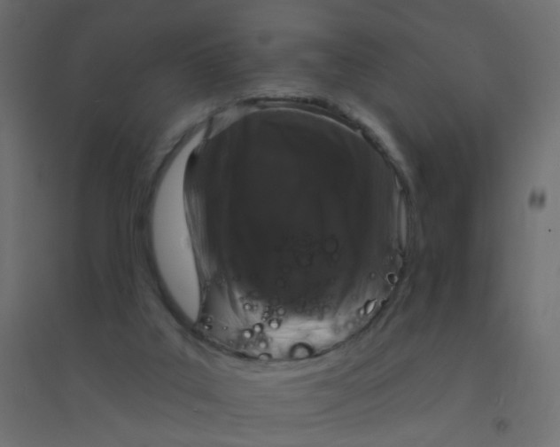 X0000094350019200711241925