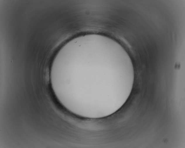 X0000094350020200711241925