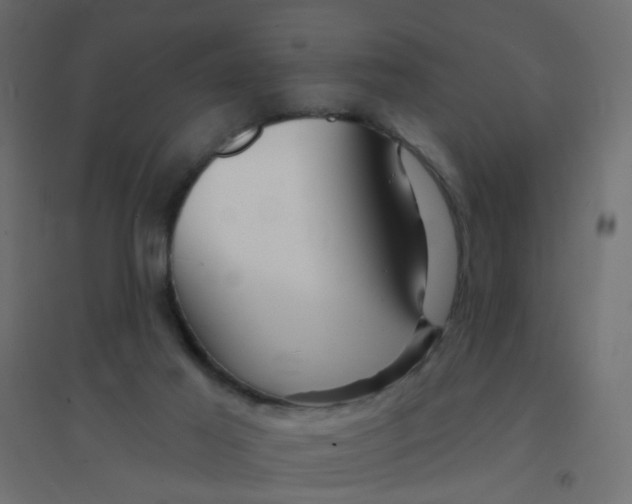 X0000094350021200711241925