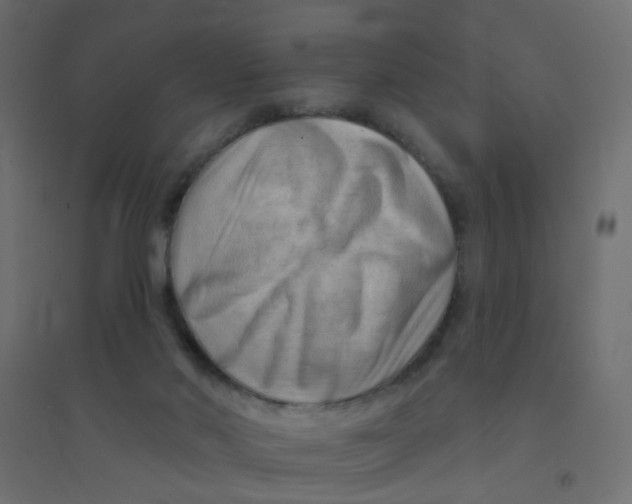 X0000094350022200711241925