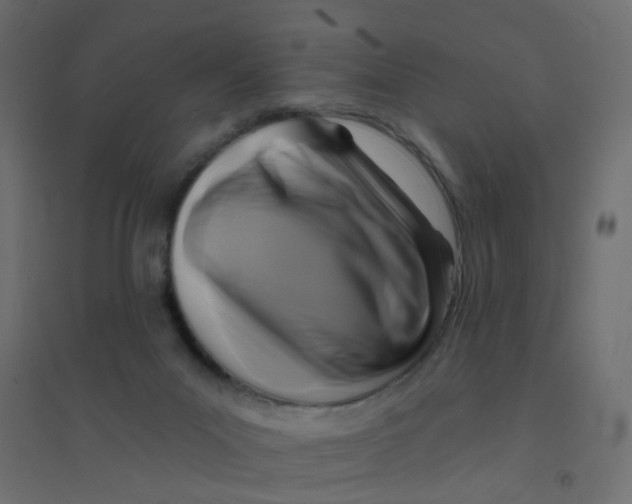 X0000094350023200711241924