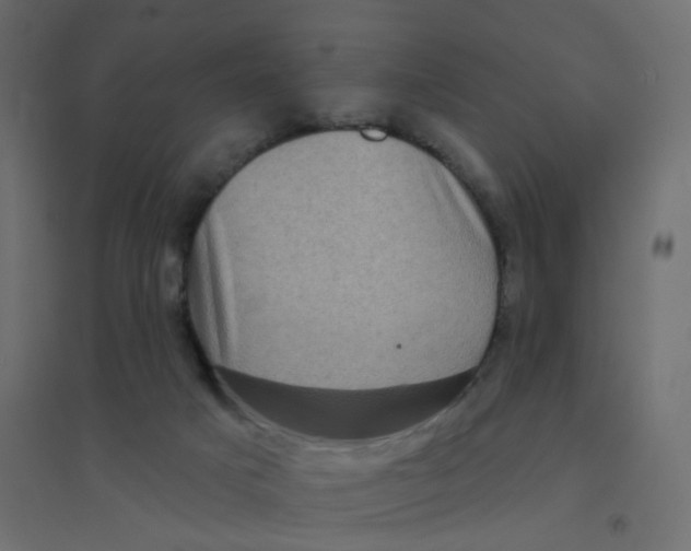 X0000094350025200711241924