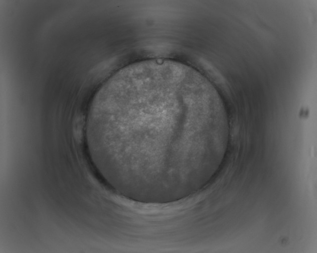 X0000094350026200711241924