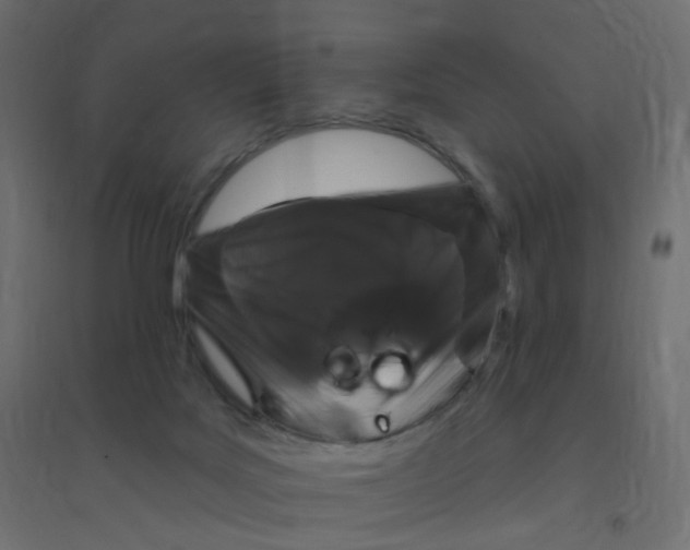 X0000094350027200711241924