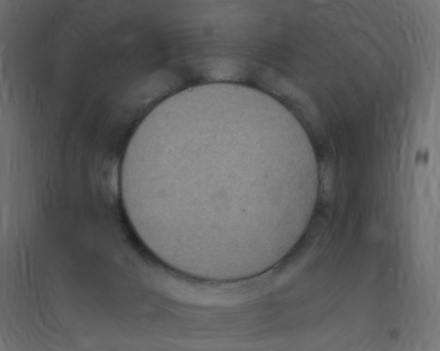 X0000094350028200711241924