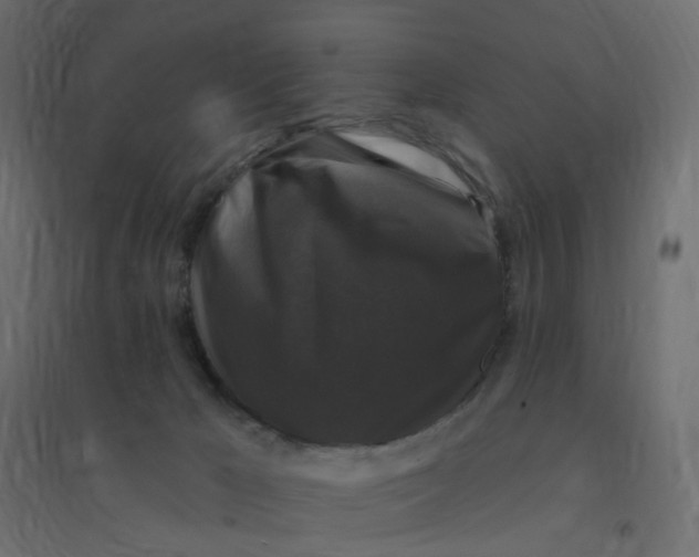 X0000094350029200711241924