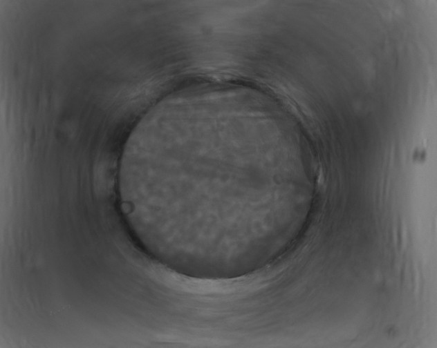 X0000094350030200711241924