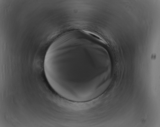 X0000094350031200711241924