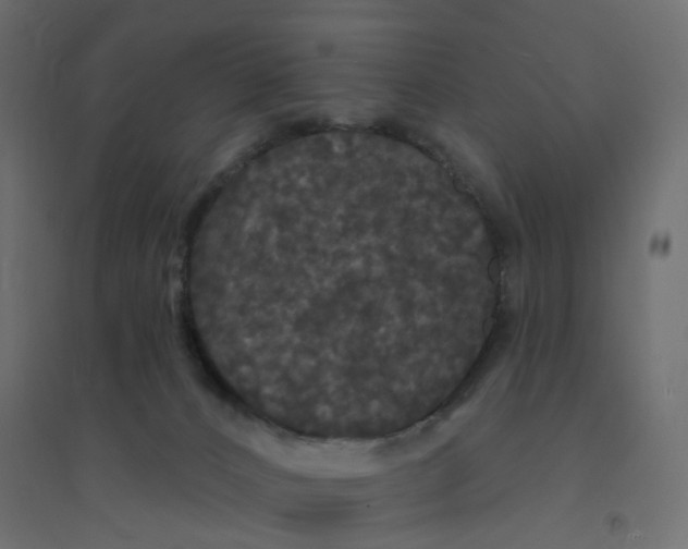 X0000094350032200711241924