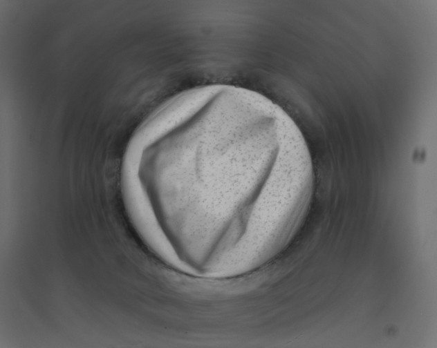 X0000094350034200711241924