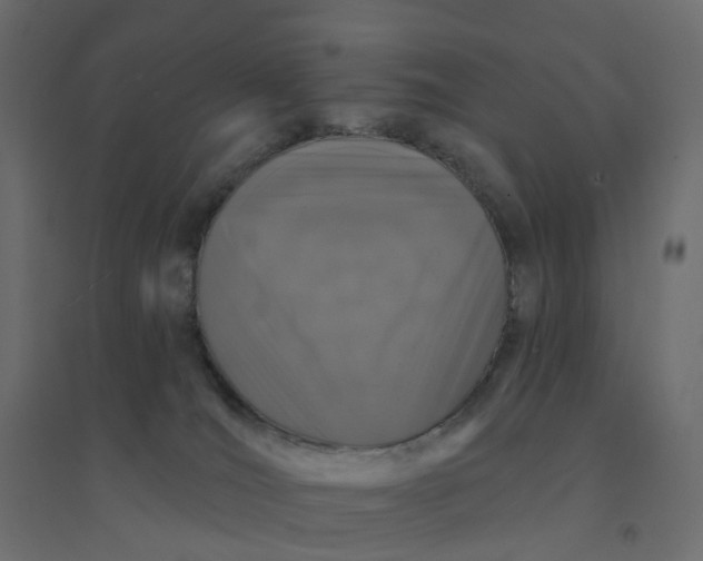X0000094350036200711241924