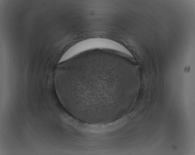 X0000094350037200711241924