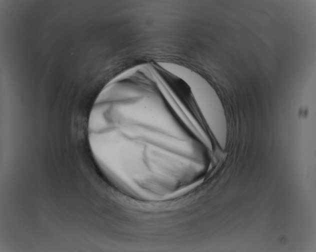 X0000094350038200711241924