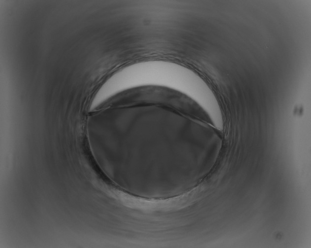 X0000094350039200711241924