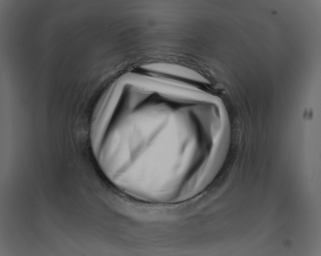 X0000094350040200711241924