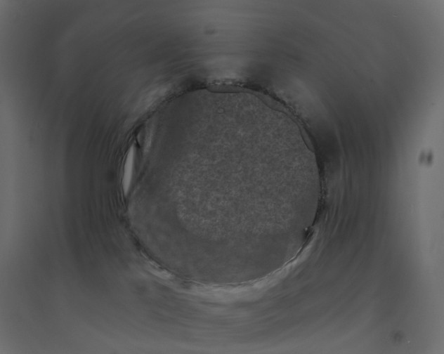 X0000094350041200711241924