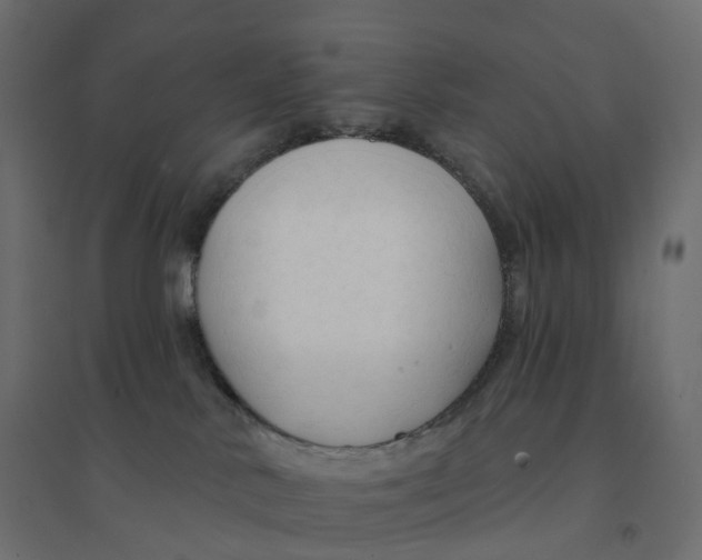 X0000094350042200711241924