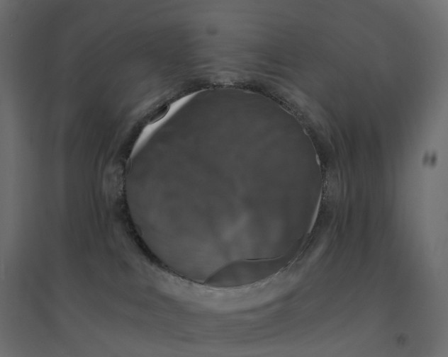 X0000094350043200711241924