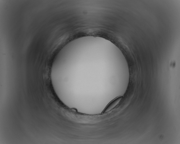X0000094350044200711241924