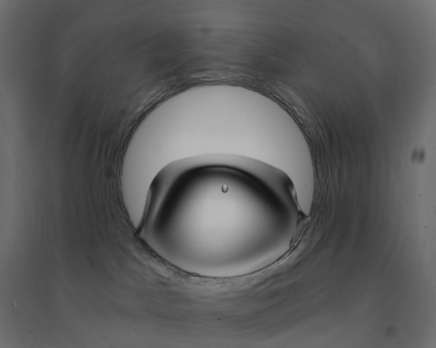 X0000094350045200711241924