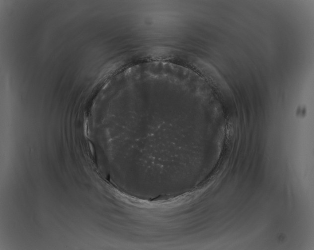 X0000094350046200711241924
