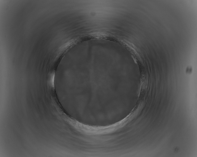 X0000094350047200711241924