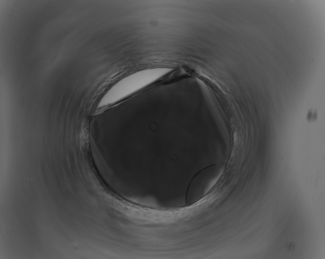 X0000094350048200711241924