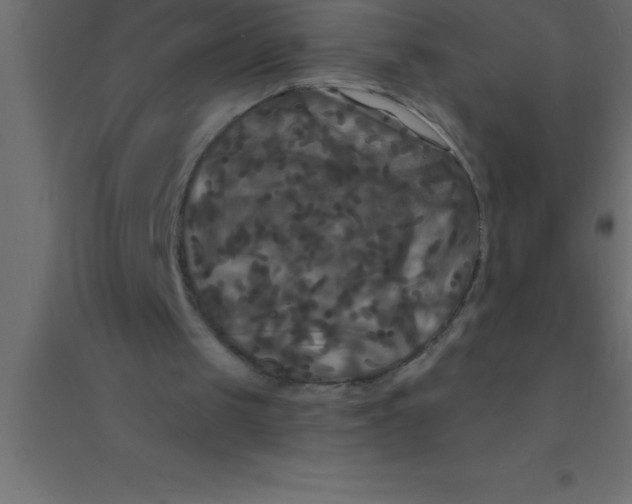 X0000094350049200711241923