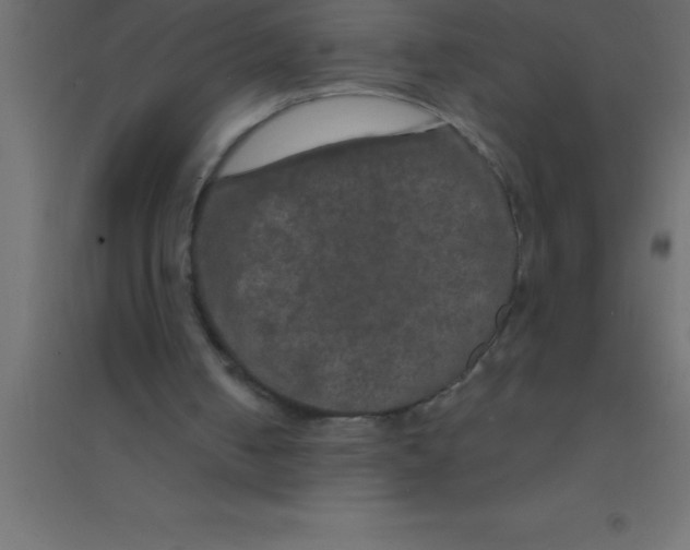 X0000094350050200711241924