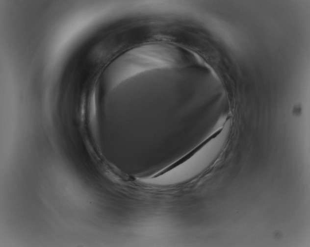 X0000094350052200711241924