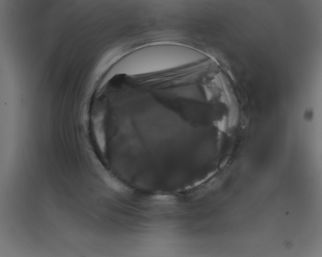 X0000094350053200711241924