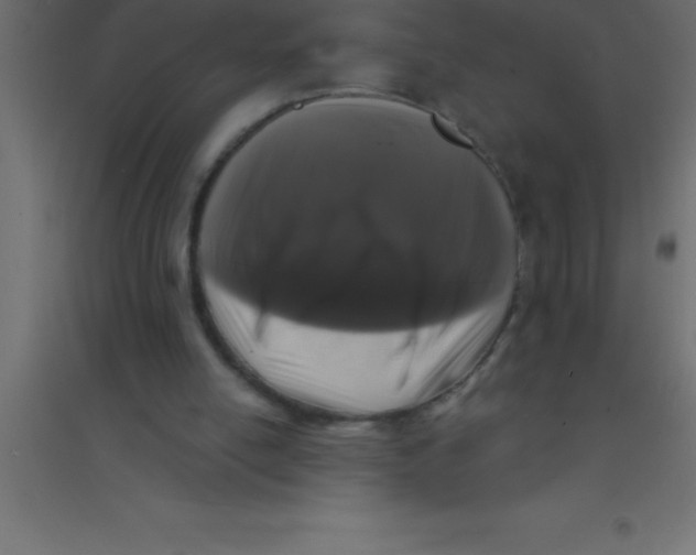 X0000094350054200711241924
