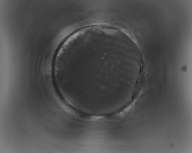 X0000094350055200711241924