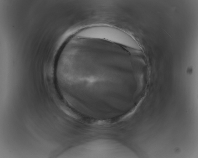 X0000094350056200711241924