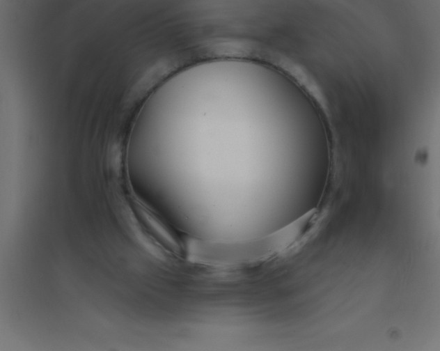 X0000094350057200711241924