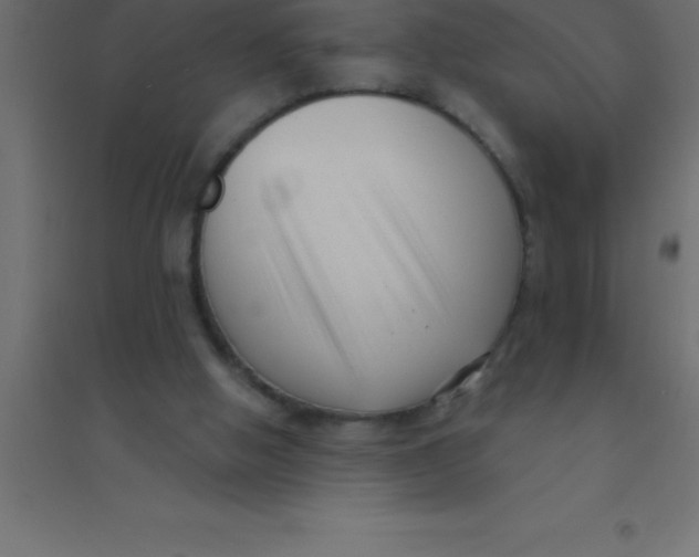 X0000094350058200711241924