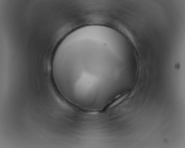 X0000094350059200711241924
