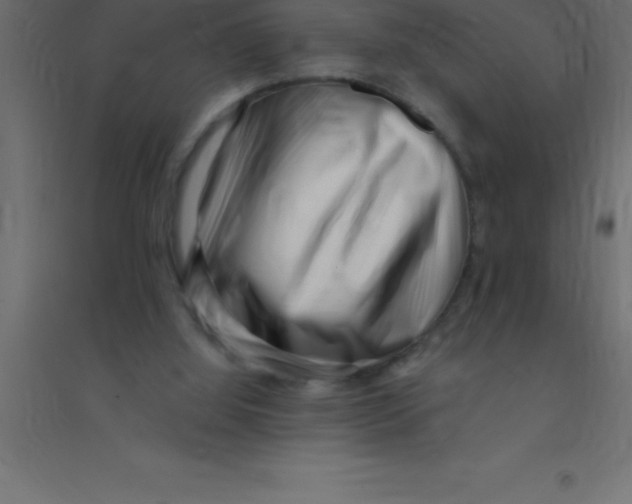 X0000094350060200711241924