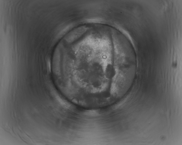 X0000094350061200711241924