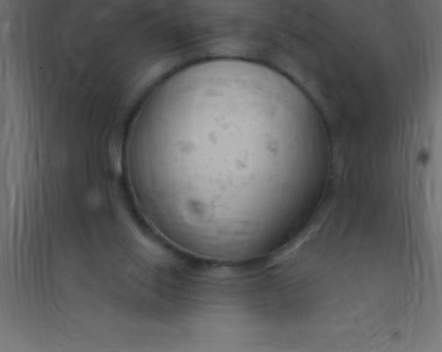 X0000094350062200711241924