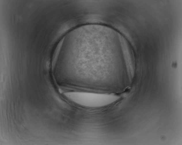 X0000094350063200711241924