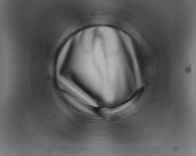 X0000094350064200711241924