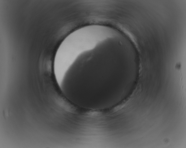 X0000094350067200711241924